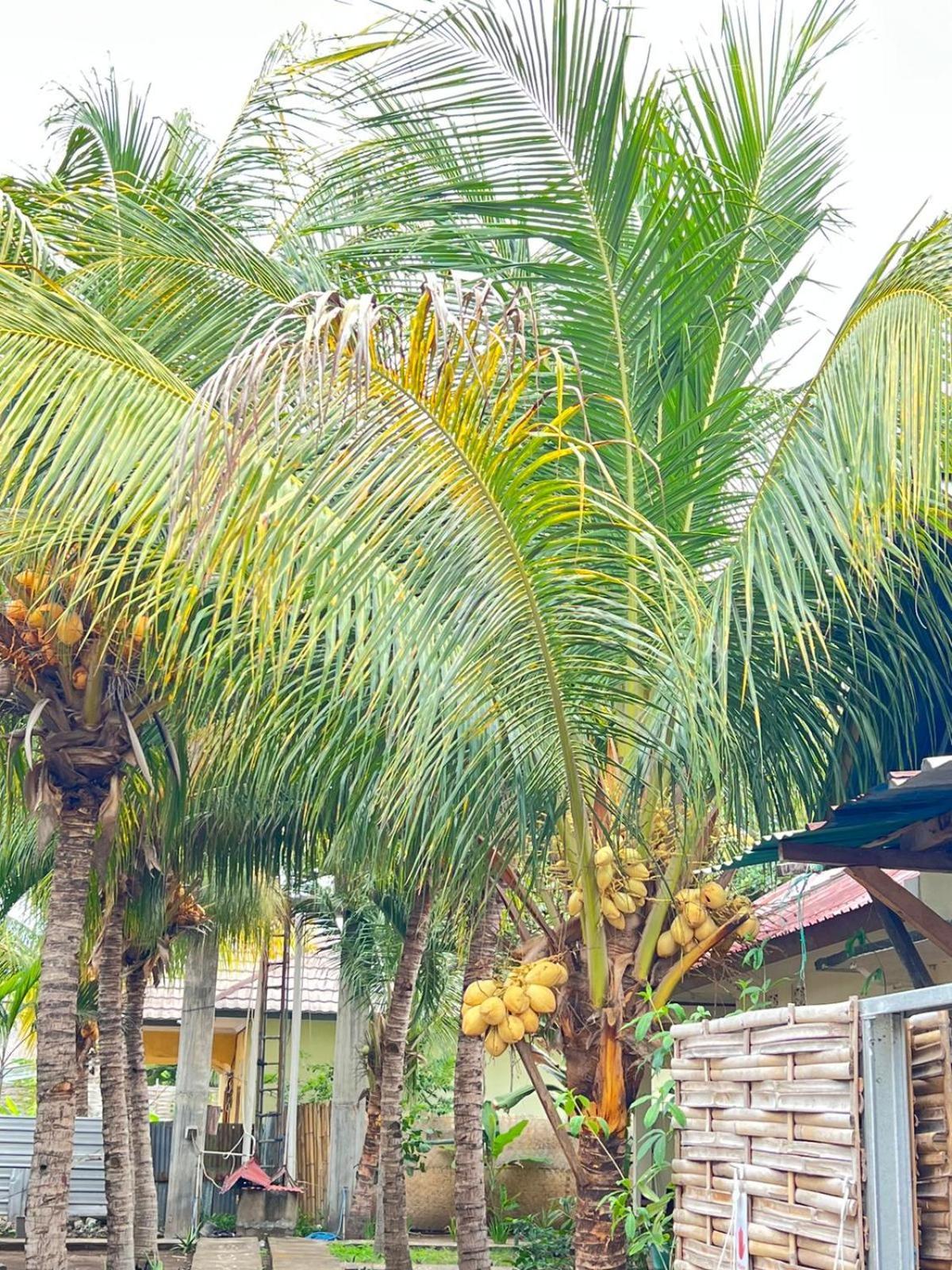 Bias Bungalows Gili Air Dış mekan fotoğraf