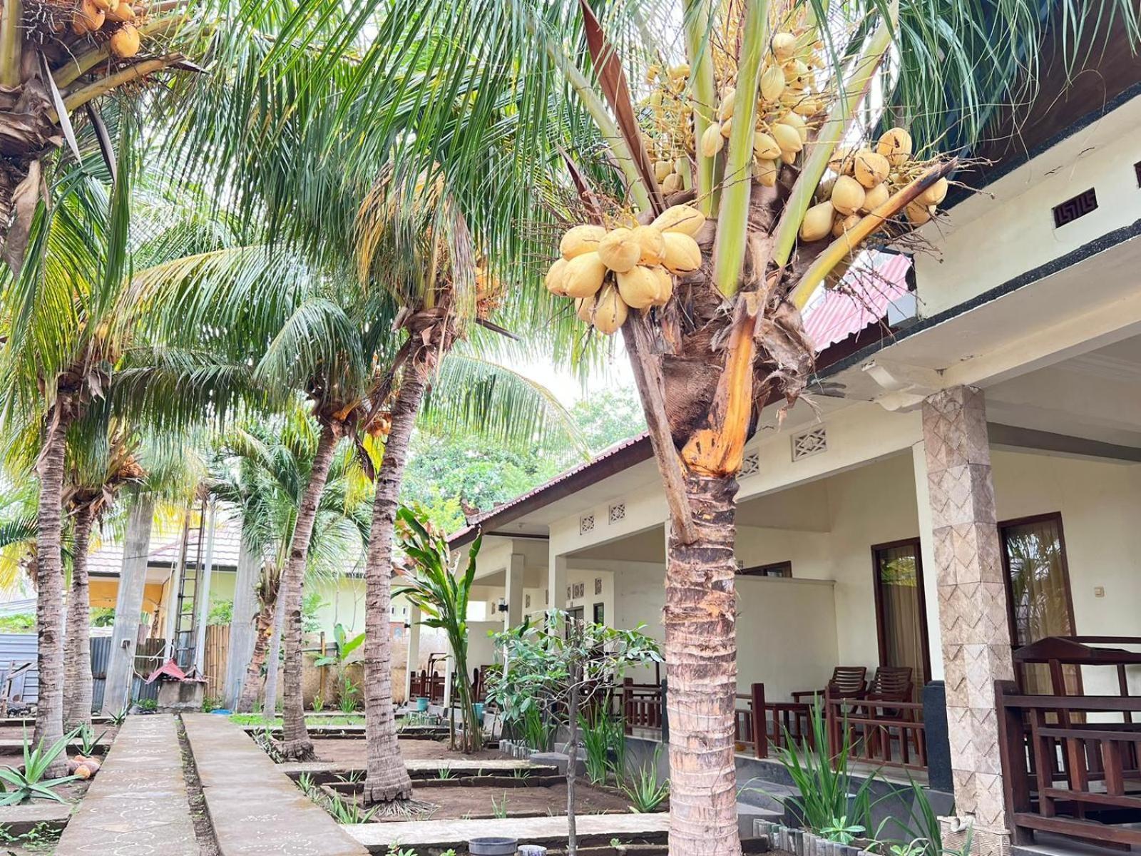 Bias Bungalows Gili Air Dış mekan fotoğraf
